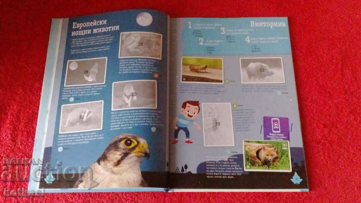 Auction Old book Collector's album Discovery Auction Old book Collector's album Discovery