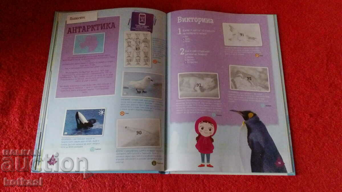 Delivery of Old book Collector's album Discovery Delivery of Old book Collector's album Discovery