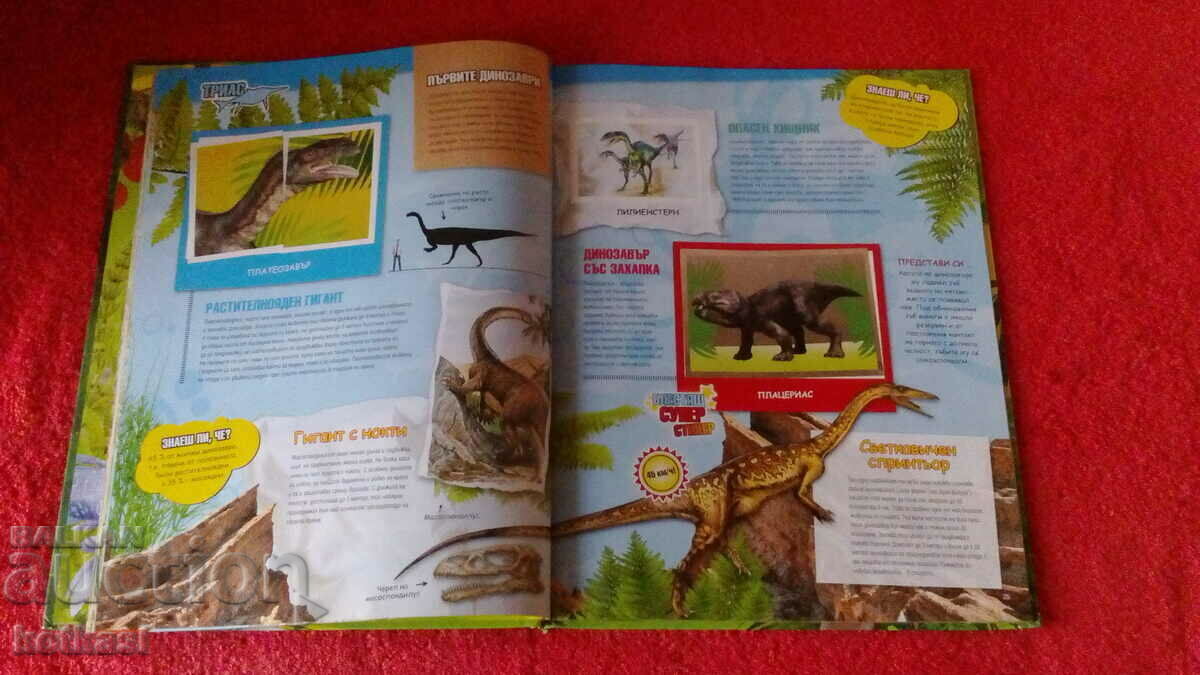 Auction Old book Prehistoric times Auction Old book Prehistoric times