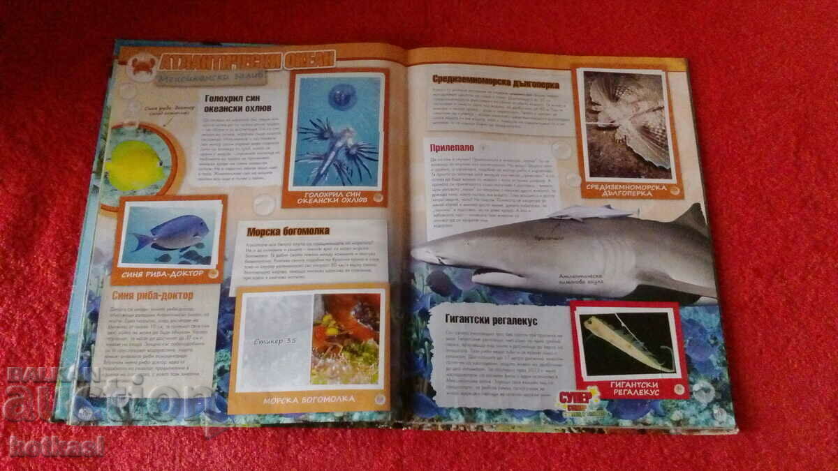 Auction Old book Adventures in the ocean Auction Old book Adventures in the ocean