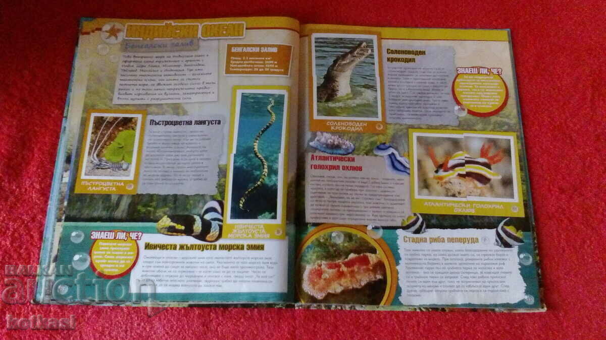 Delivery of Old book Adventures in the ocean Delivery of Old book Adventures in the ocean