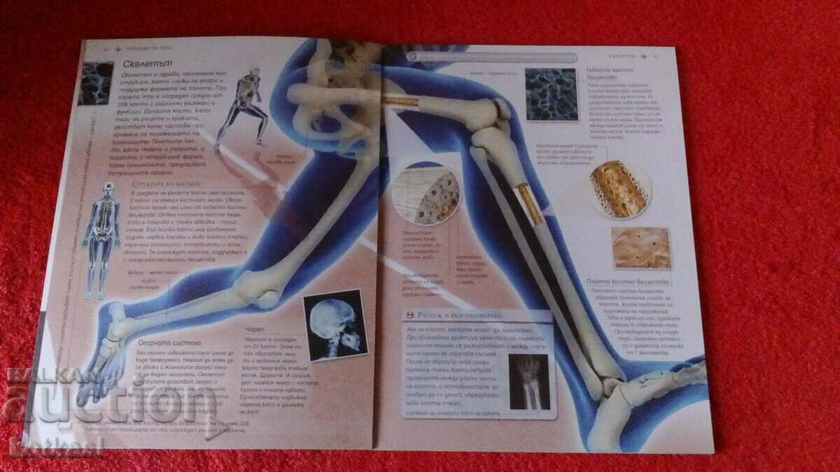 Licitație Carte veche Corpul uman Enciclopedia de ilustrații Licitație Carte veche Corpul uman Enciclopedia de ilustrații