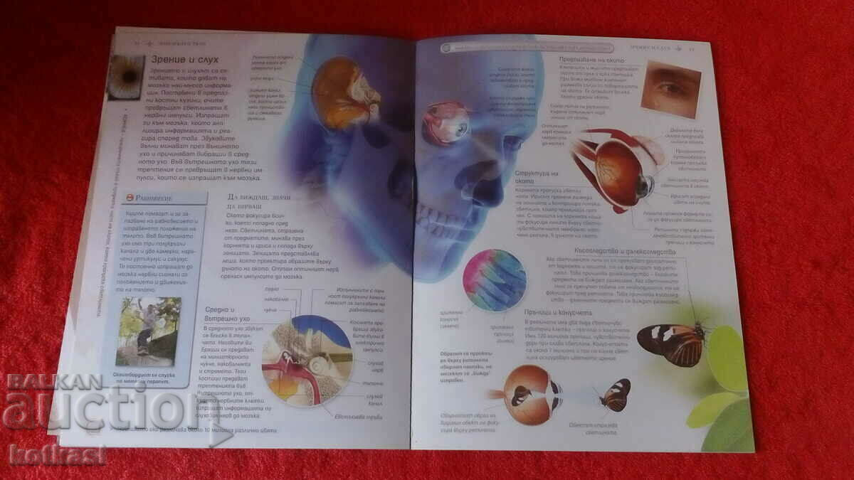 Livrarea Carte veche Corpul uman Enciclopedia de ilustrații Livrarea Carte veche Corpul uman Enciclopedia de ilustrații