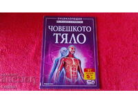 Old book The human body Illustrations Encyclopedia