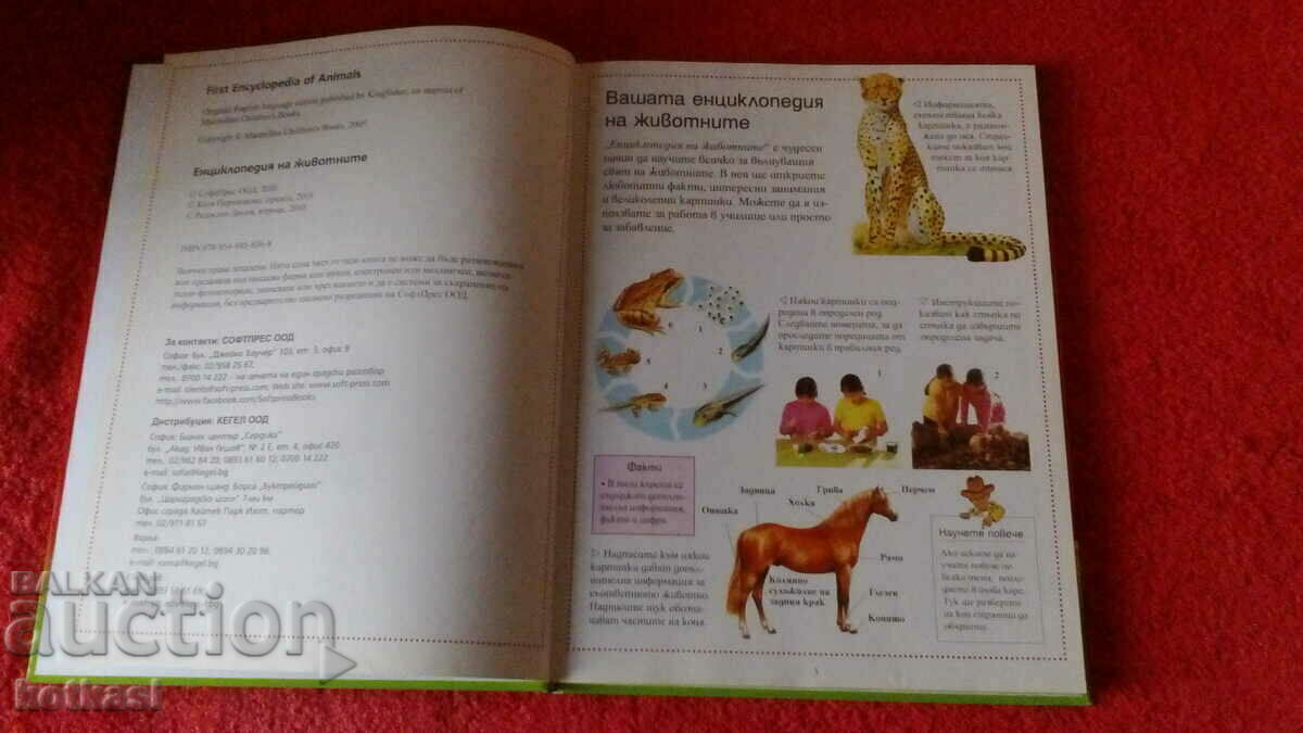 Carte veche Enciclopedia animalelor cu preț 10.50 BGN | € 5.37 Carte veche Enciclopedia animalelor cu preț 10.50 BGN | € 5.37