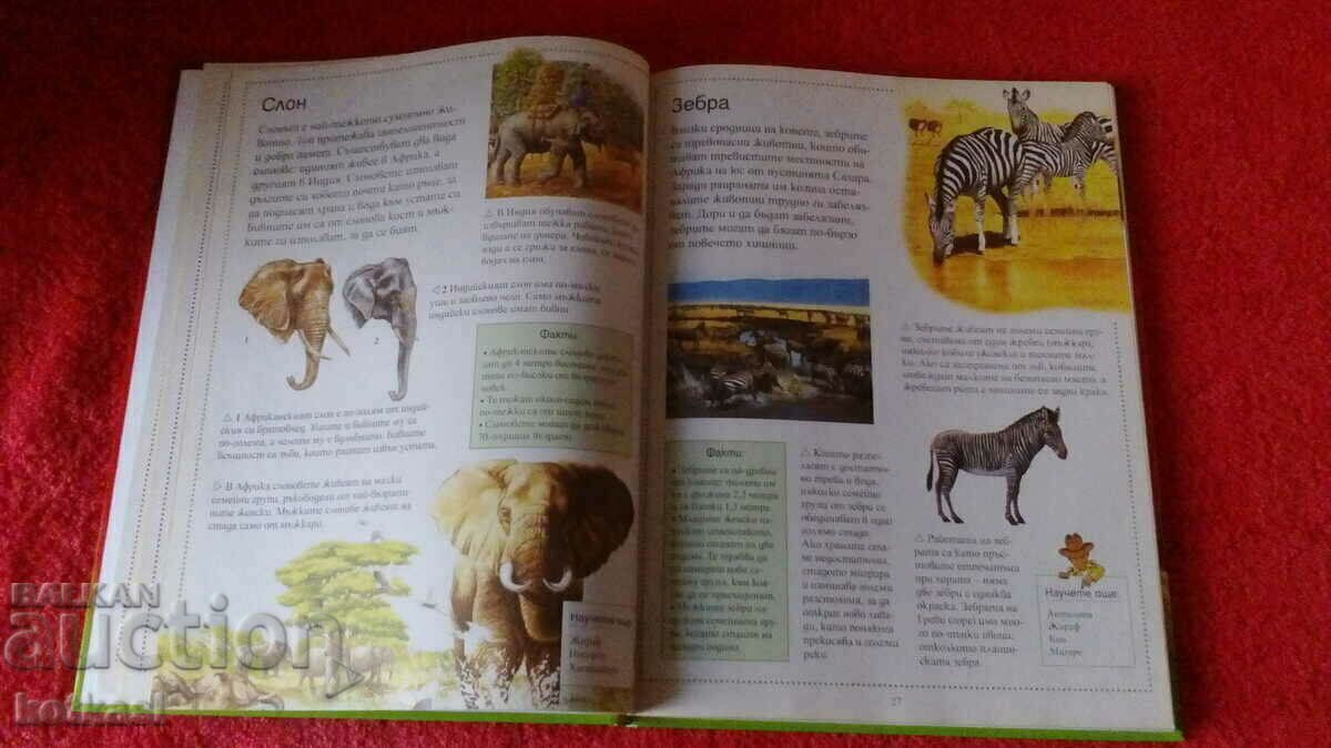 Auction Old book Encyclopedia of animals Auction Old book Encyclopedia of animals