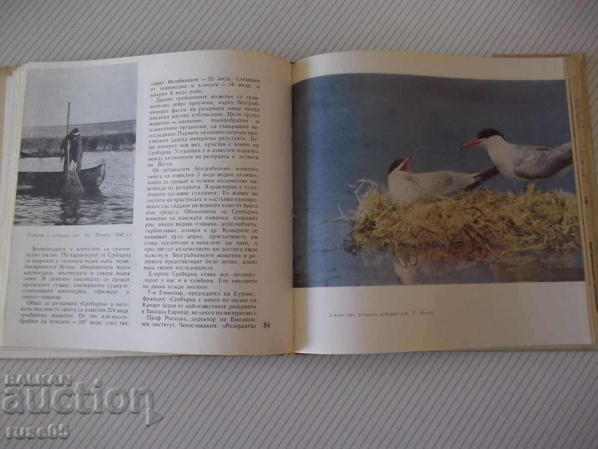 Delivery of Book "Our reserves. And natural observations.-Collective" -168 p.