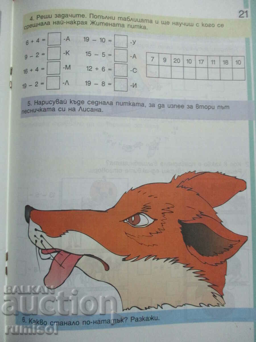 Mathematics from the fairy world - 1st grade - 5