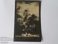 Old nature card 1922 K 359