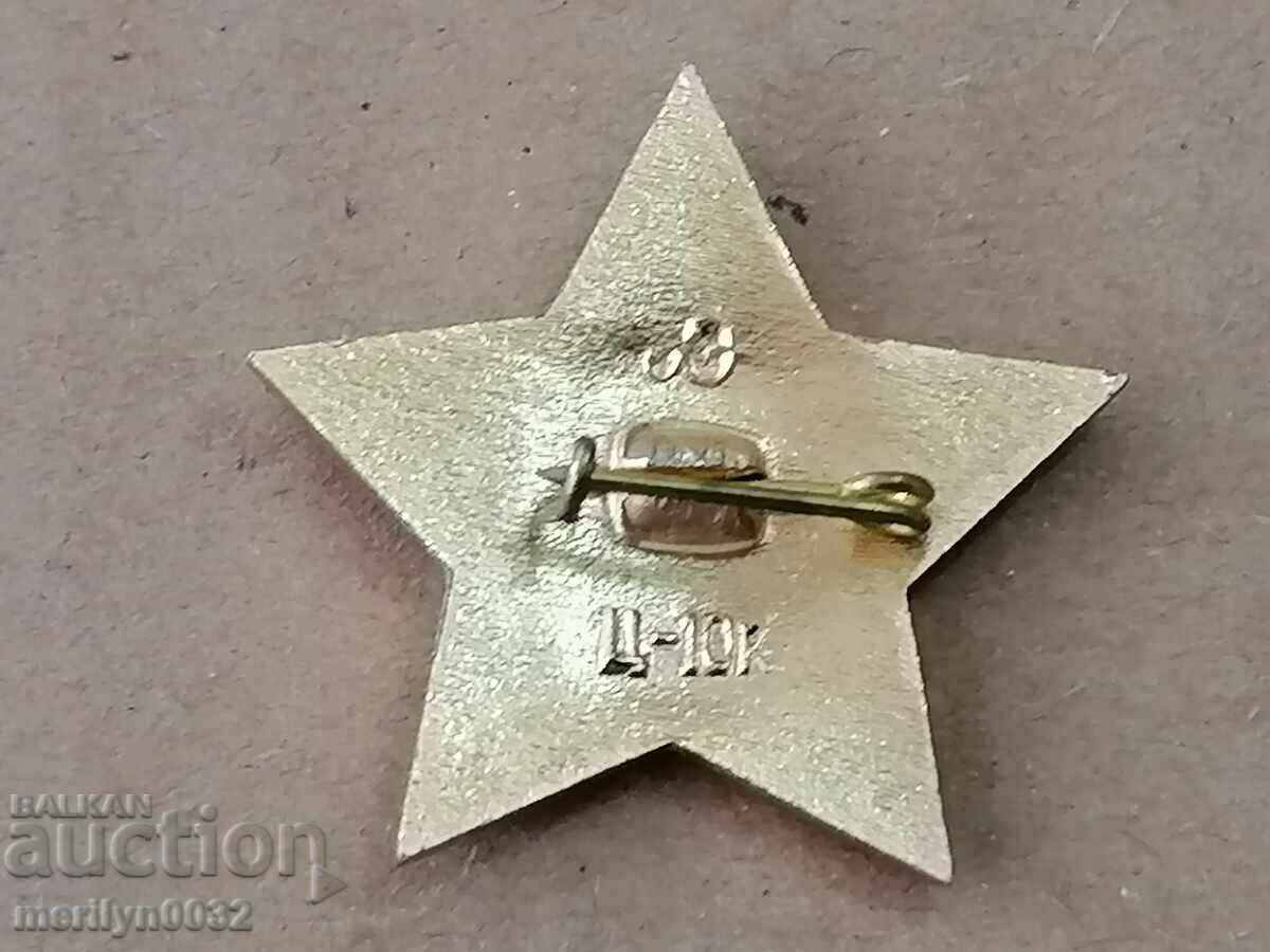 Delivery of Badge Volodya Ulyanov USSR medal badge Delivery of Badge Volodya Ulyanov USSR medal badge