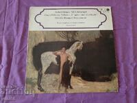Gramophone record - Strauss