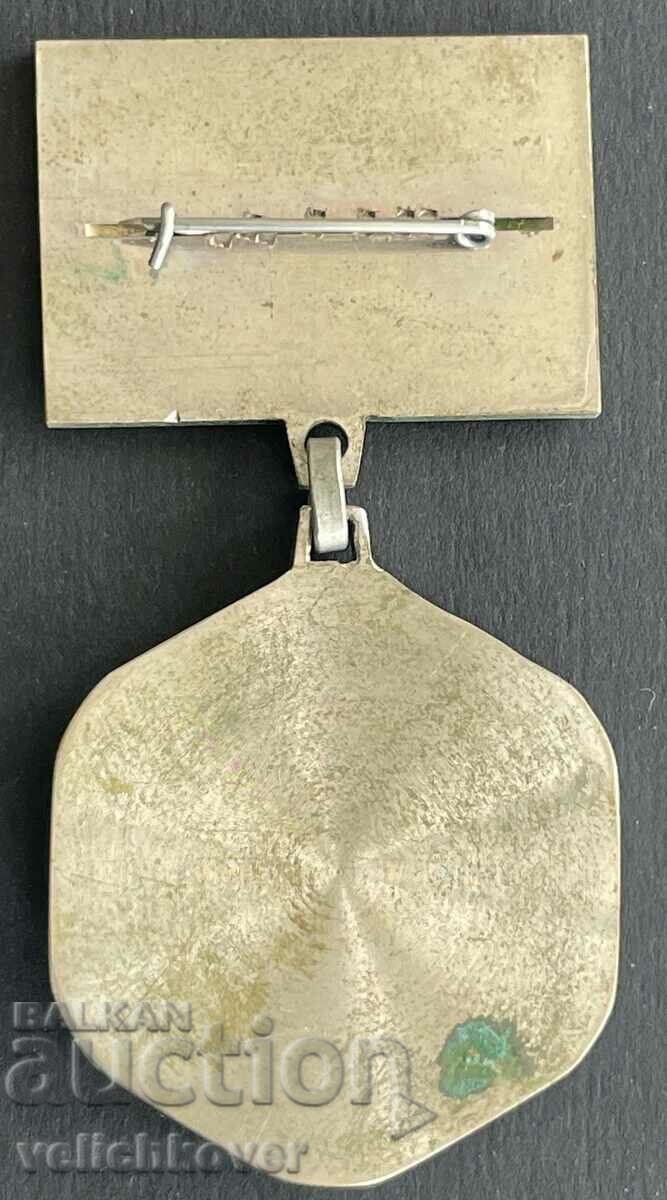 Auction  32570 USSR medal Member of the Moscow wooden box team