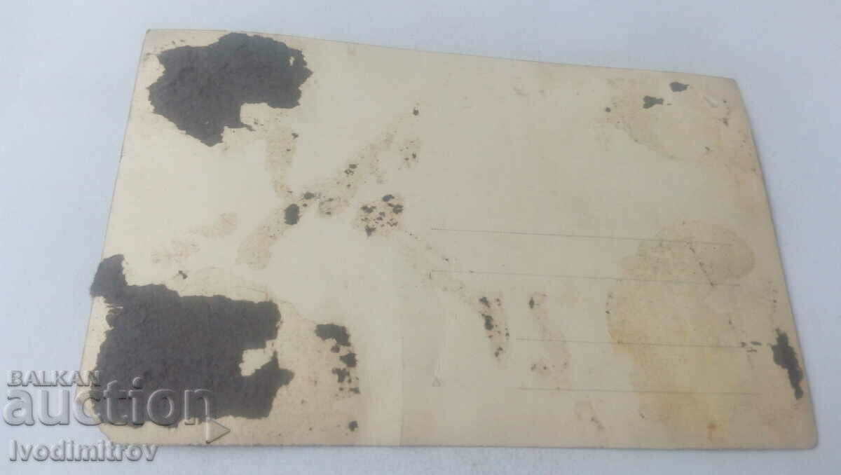 Φωτογραφία Επτά νεαρά κορίτσια στο πάρκο με τιμή 1.65 BGN | € 0.84 Φωτογραφία Επτά νεαρά κορίτσια στο πάρκο με τιμή 1.65 BGN | € 0.84