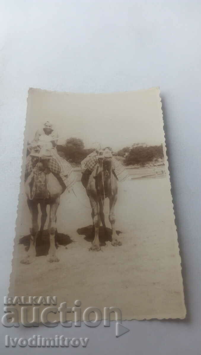 Photo of a camel boy on the beach