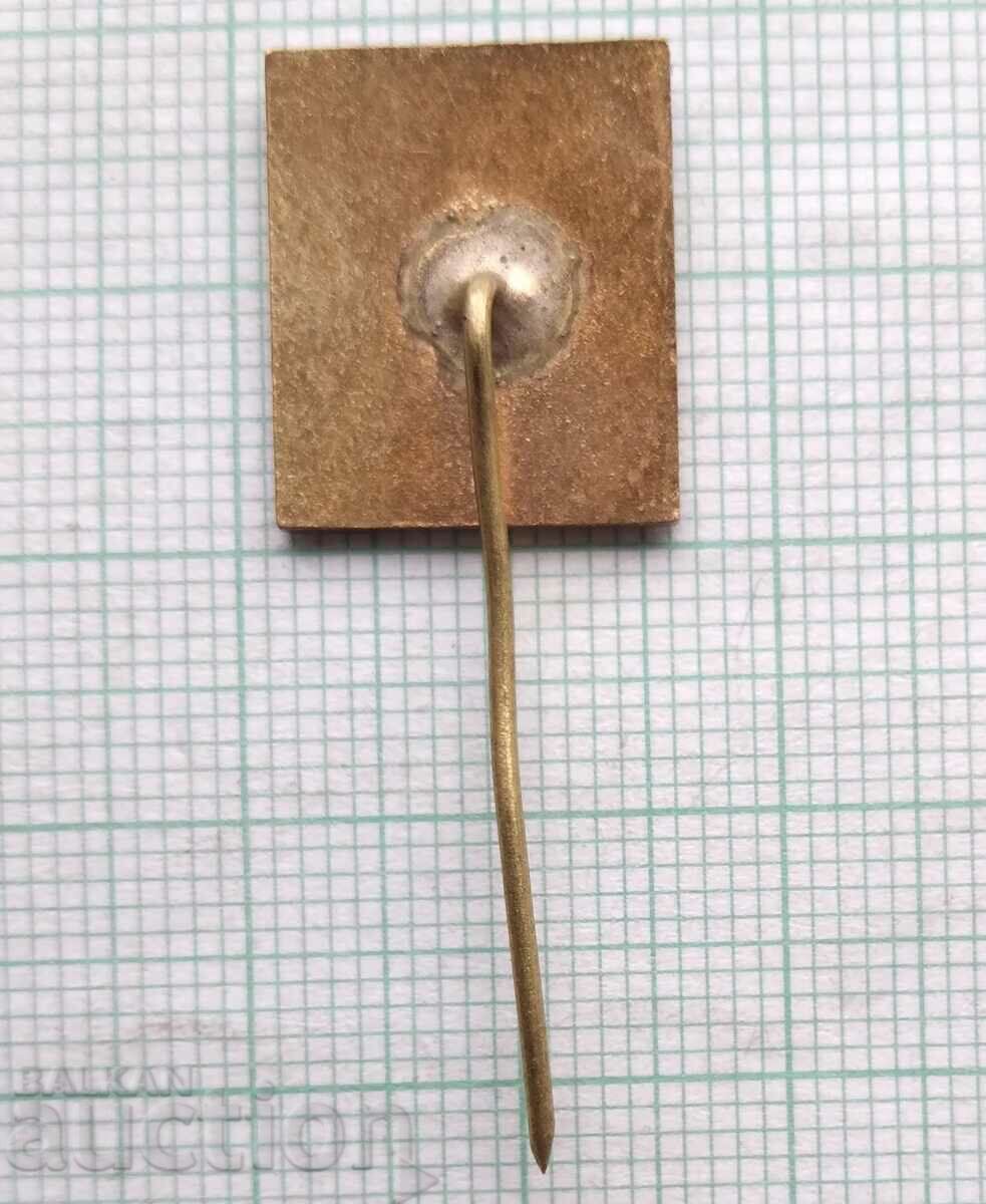 11230 Badge - Elprom Bulgaria - bronze enamel with price 2.00 BGN | € 1.02 11230 Badge - Elprom Bulgaria - bronze enamel with price 2.00 BGN | € 1.02