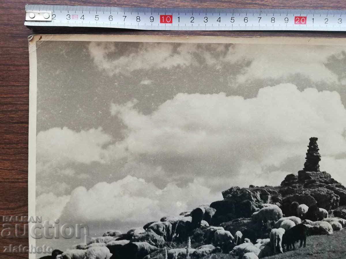 Delivery of Old photo Kingdom of Bulgaria. Author's photography Delivery of Old photo Kingdom of Bulgaria. Author's photography