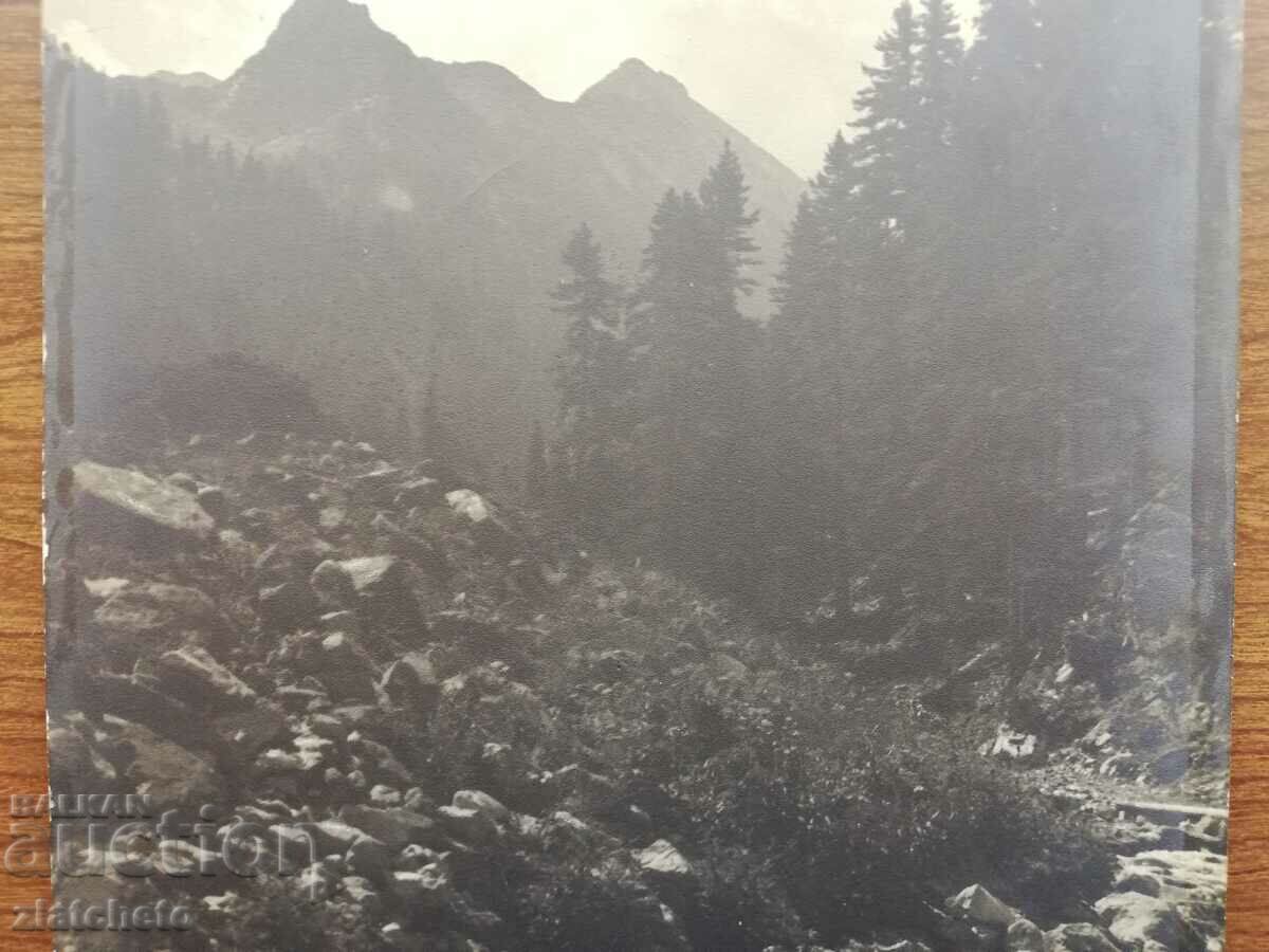 Auction Old photo Kingdom of Bulgaria. Author's photography Auction Old photo Kingdom of Bulgaria. Author's photography