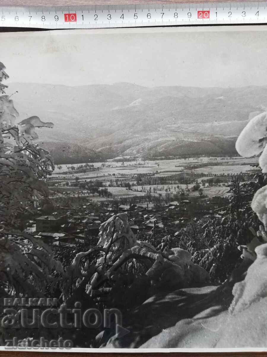 Auction Old photo Kingdom of Bulgaria. Author's photography Auction Old photo Kingdom of Bulgaria. Author's photography