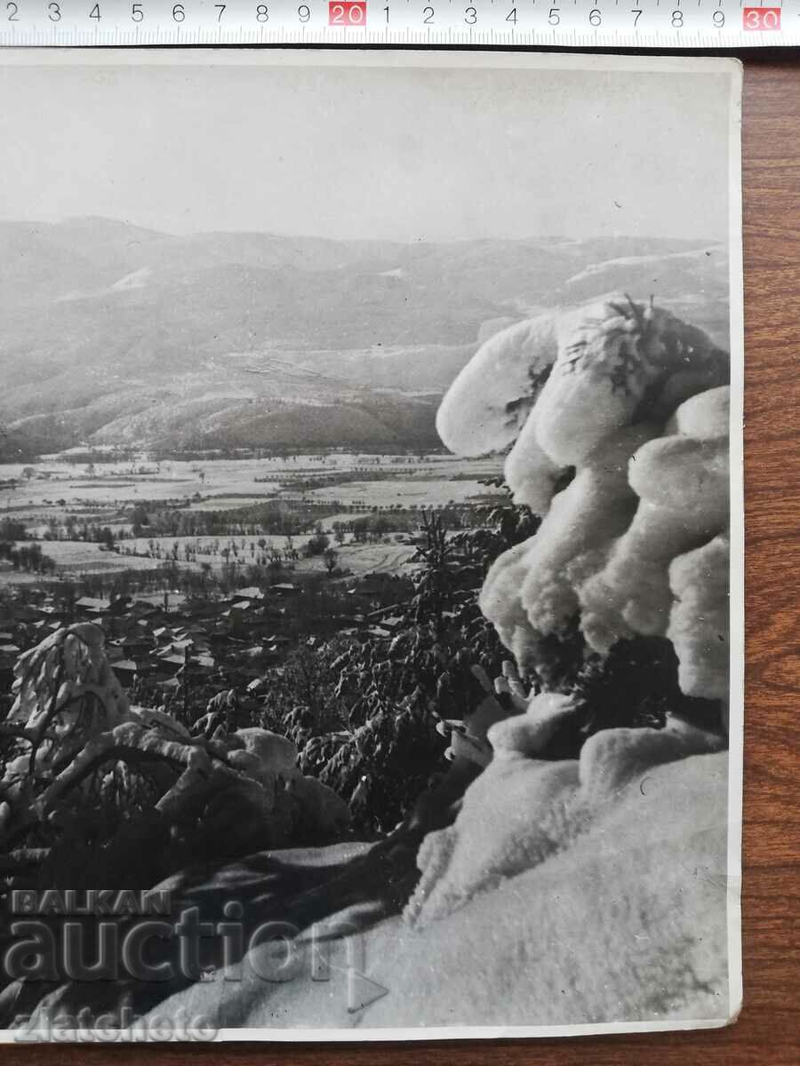 Delivery of Old photo Kingdom of Bulgaria. Author's photography Delivery of Old photo Kingdom of Bulgaria. Author's photography