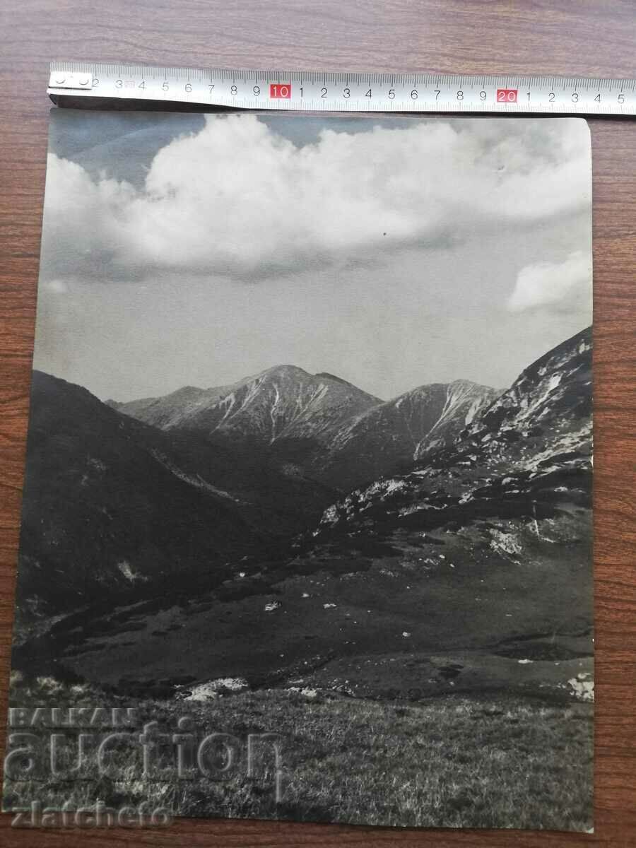 Old photo Kingdom of Bulgaria. Author's photography with price 70.00 BGN | € 35.79 Old photo Kingdom of Bulgaria. Author's photography with price 70.00 BGN | € 35.79