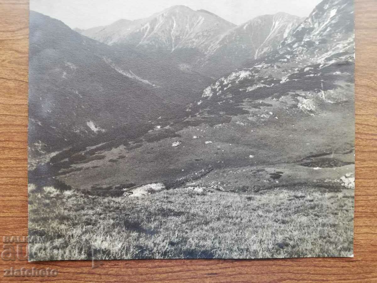 Auction Old photo Kingdom of Bulgaria. Author's photography Auction Old photo Kingdom of Bulgaria. Author's photography