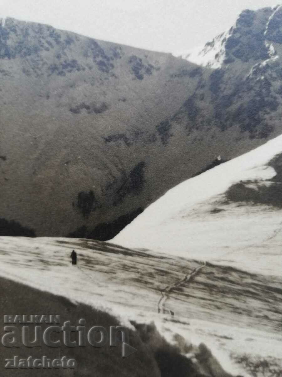 Delivery of Old photo Kingdom of Bulgaria. Author's photography