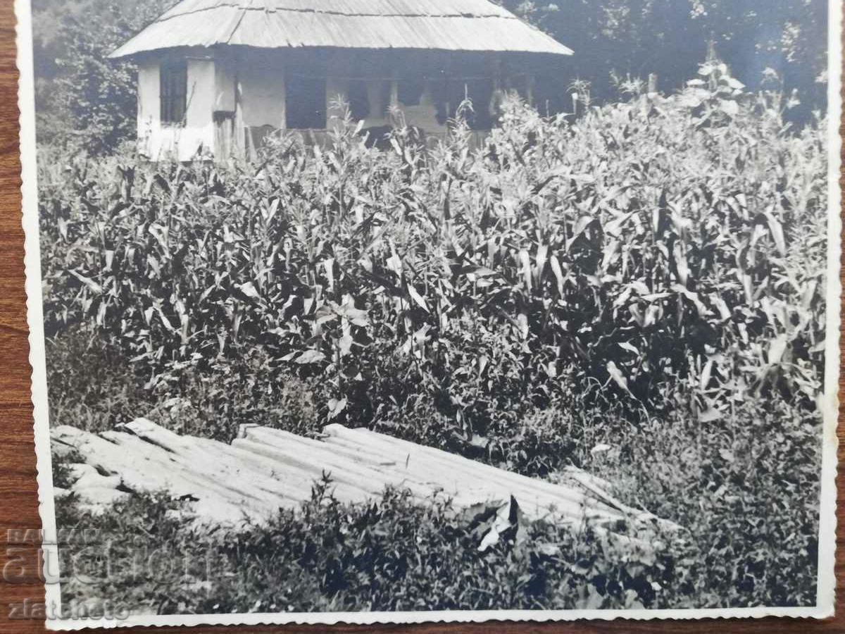 Old photo Kingdom of Bulgaria. Author's photography with price 20.00 BGN | € 10.23 Old photo Kingdom of Bulgaria. Author's photography with price 20.00 BGN | € 10.23