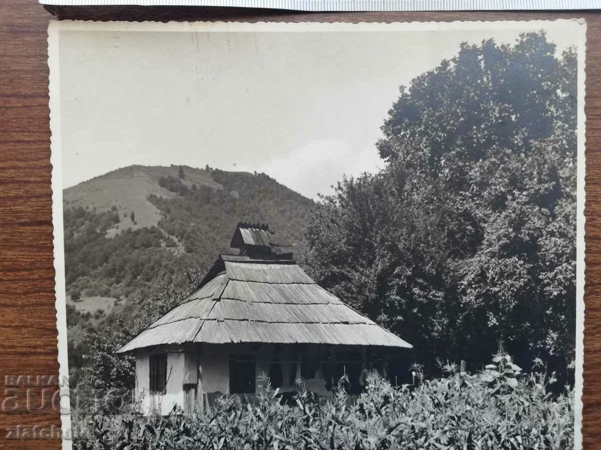 Auction Old photo Kingdom of Bulgaria. Author's photography Auction Old photo Kingdom of Bulgaria. Author's photography