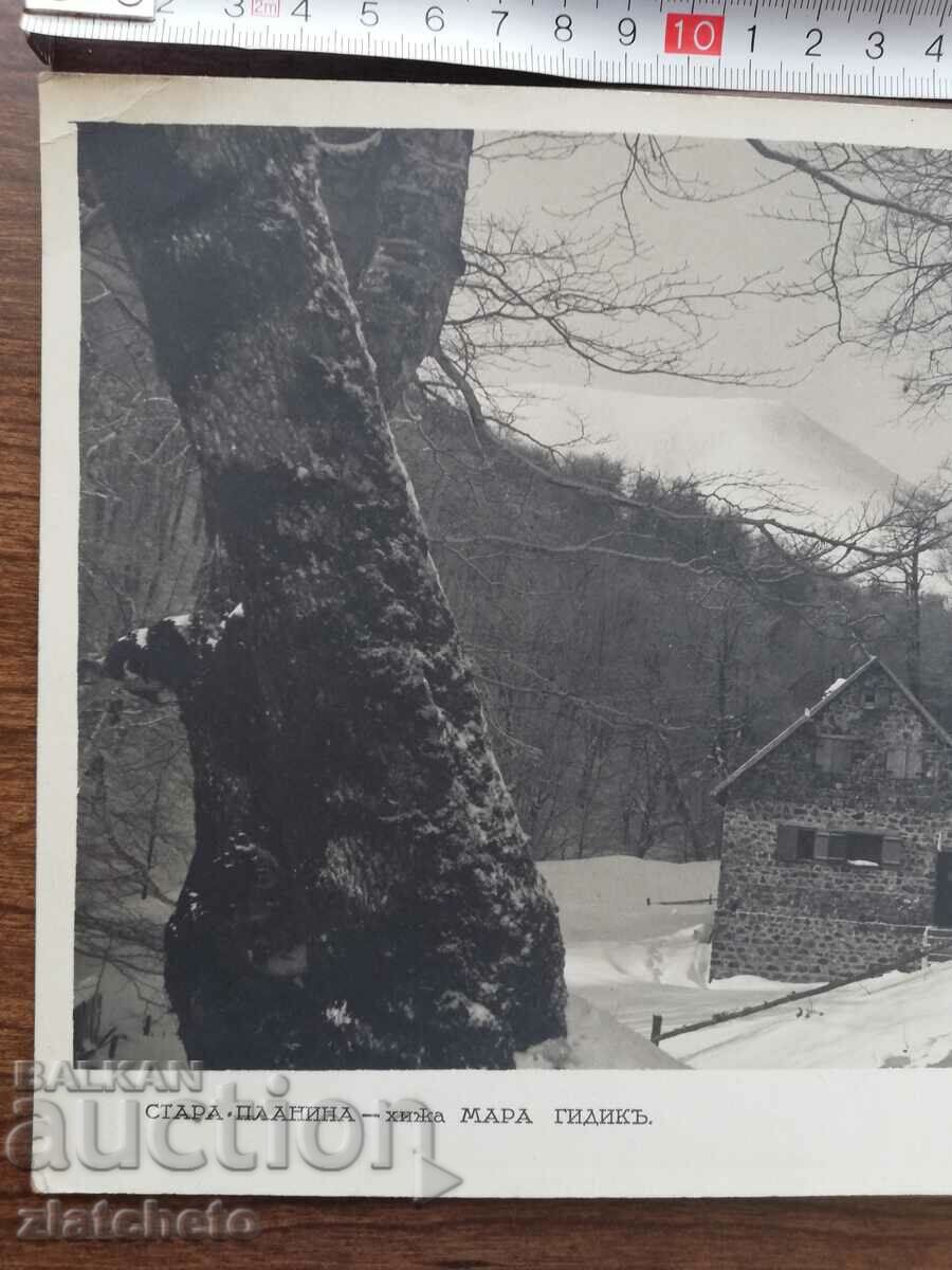 Auction Old photo Kingdom of Bulgaria. Author's photography Auction Old photo Kingdom of Bulgaria. Author's photography