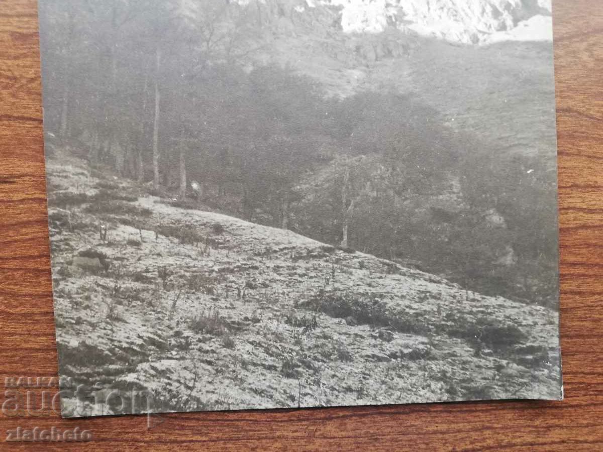 Delivery of Old photo Kingdom of Bulgaria. Author's photography