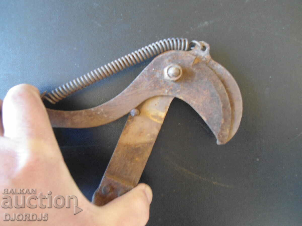 Auction Old pruning shears. Auction Old pruning shears.