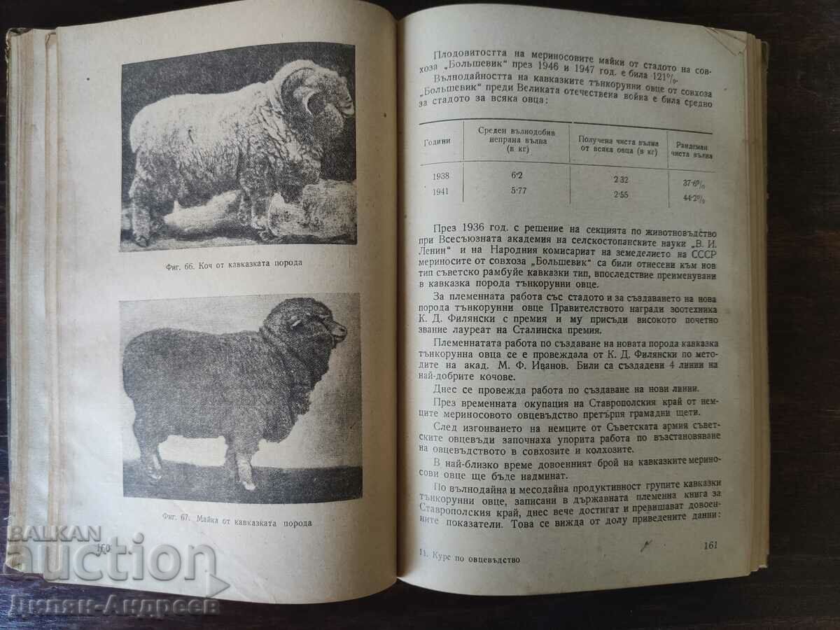 Auction Sheep breeding course Auction Sheep breeding course