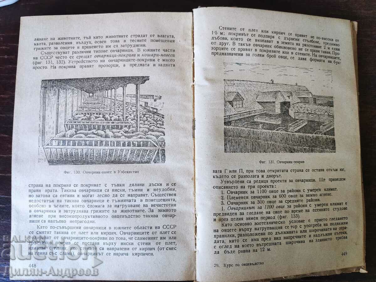 Delivery of Sheep breeding course Delivery of Sheep breeding course