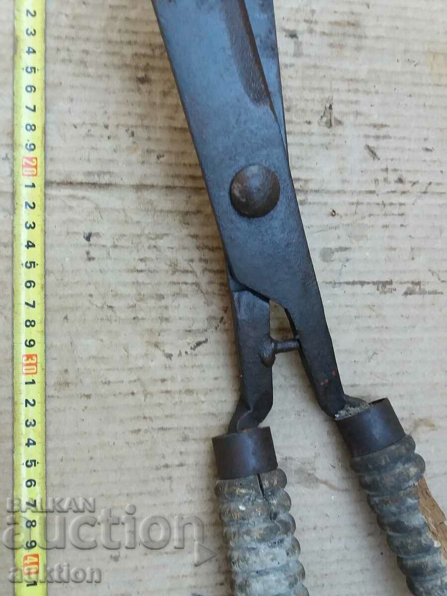 Auction OLD SOLID HUGE SHRUB SHRIMPERS - EXCELLENT Auction OLD SOLID HUGE SHRUB SHRIMPERS - EXCELLENT