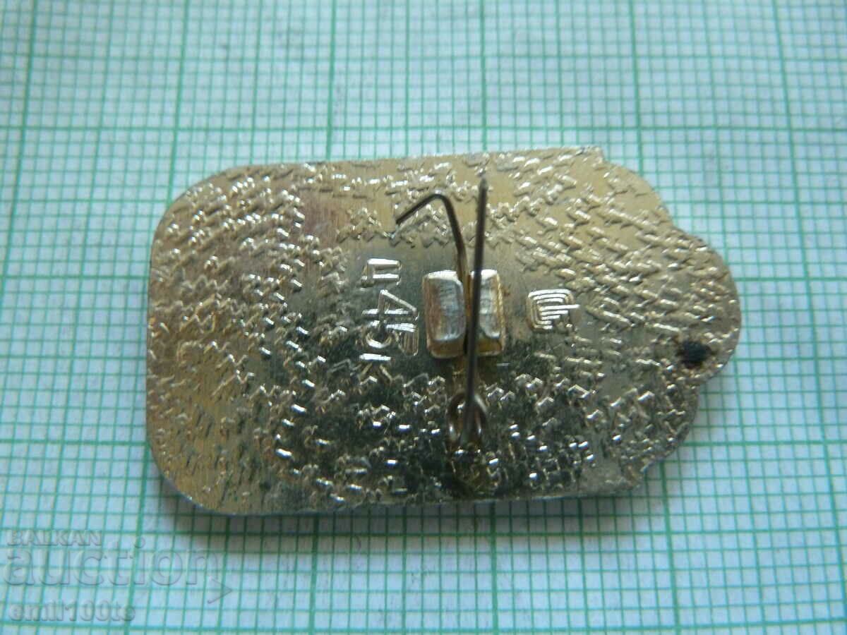 Delivery of Badge - Festival of Youth and Students Moscow 1985 Delivery of Badge - Festival of Youth and Students Moscow 1985