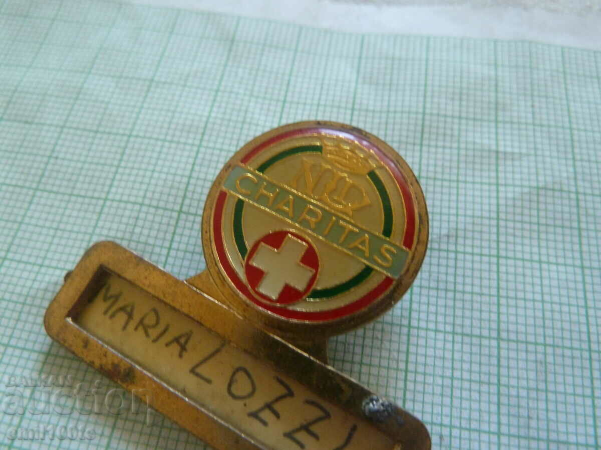 Auction Badge - NLD Charitas Red Cross Italy Auction Badge - NLD Charitas Red Cross Italy