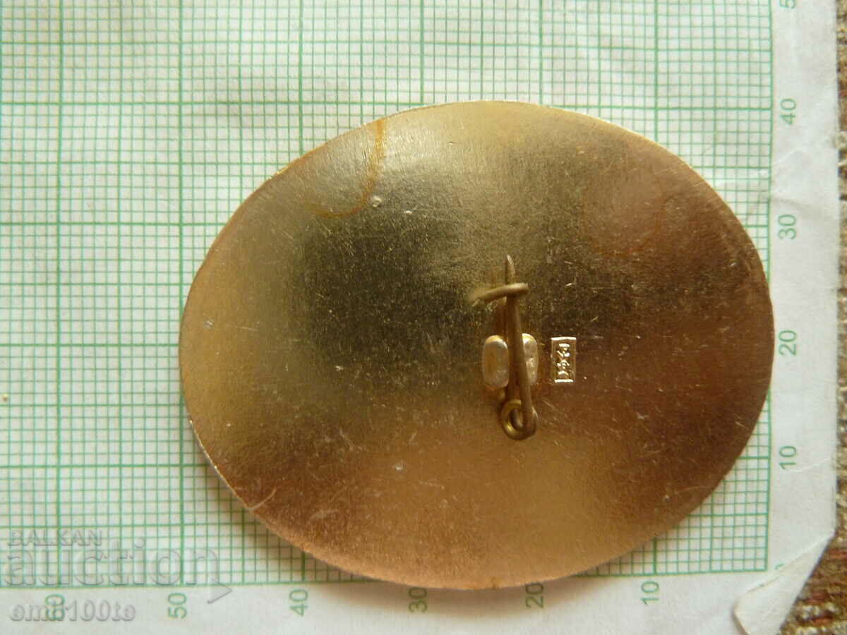 Badge - coat of arms of the RSFSR - 5