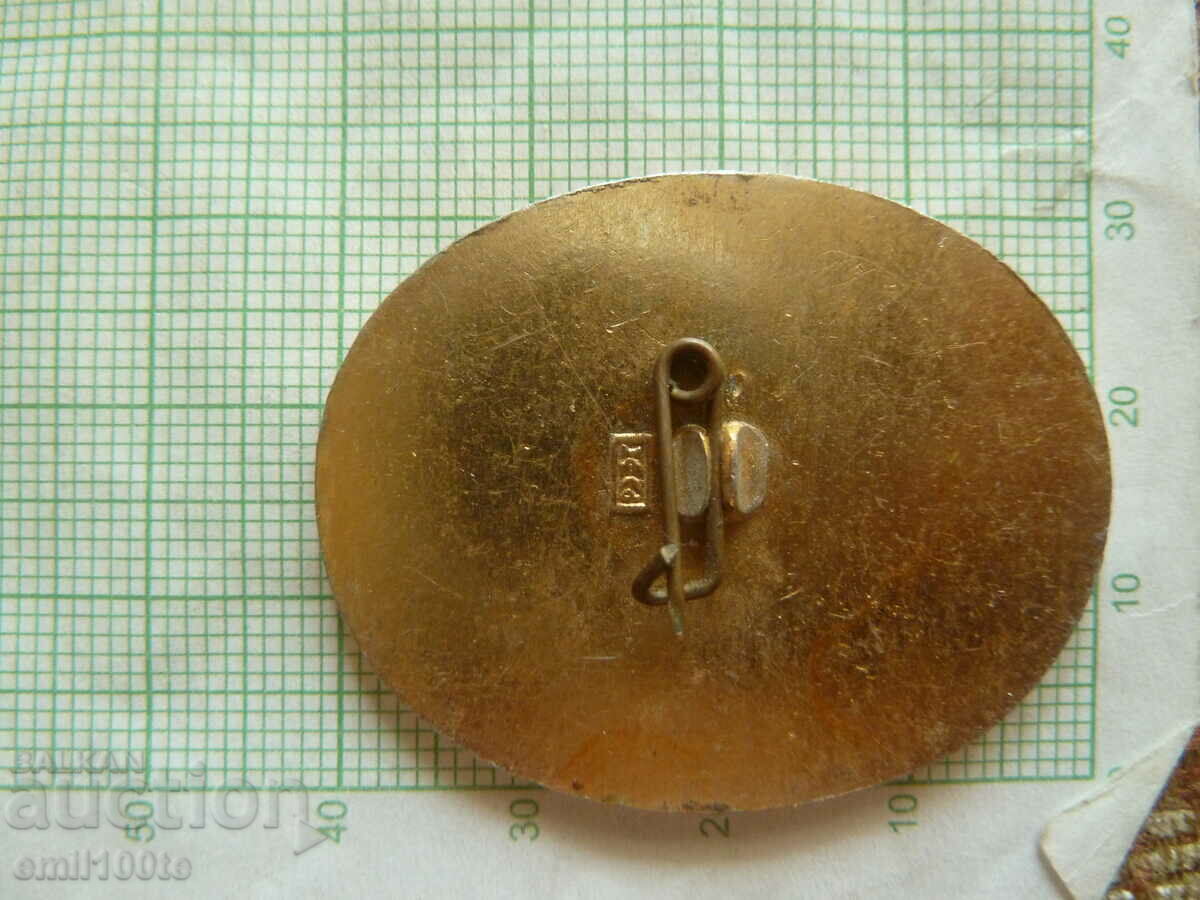 Delivery of Badge - Taganrog coats of arms of the cities of the RSFSR Delivery of Badge - Taganrog coats of arms of the cities of the RSFSR