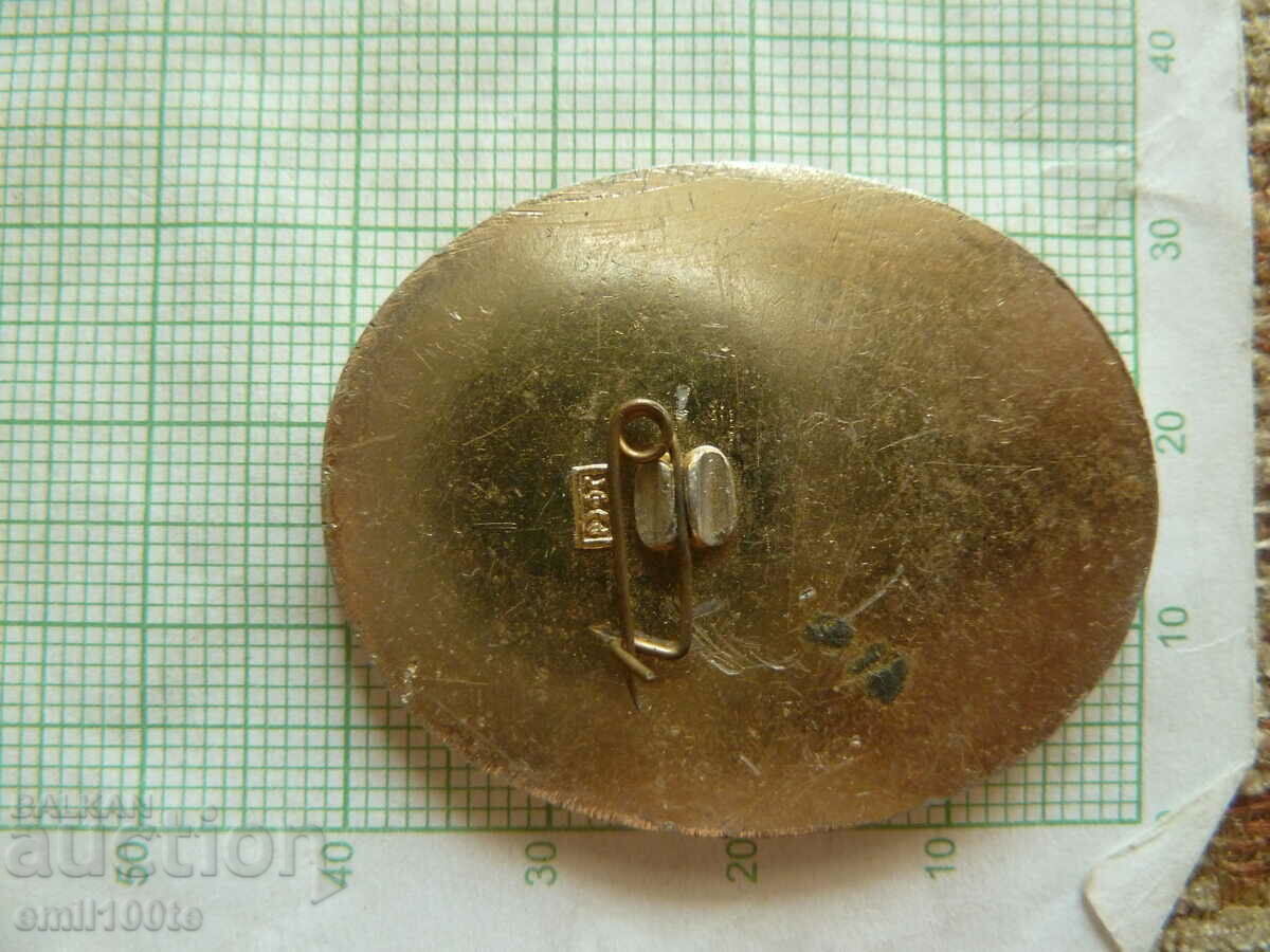 Delivery of Badge - Shakhty coats of arms of the cities of the RSFSR Delivery of Badge - Shakhty coats of arms of the cities of the RSFSR