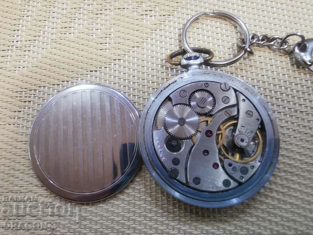 MALE with price 35.00 BGN | € 17.90