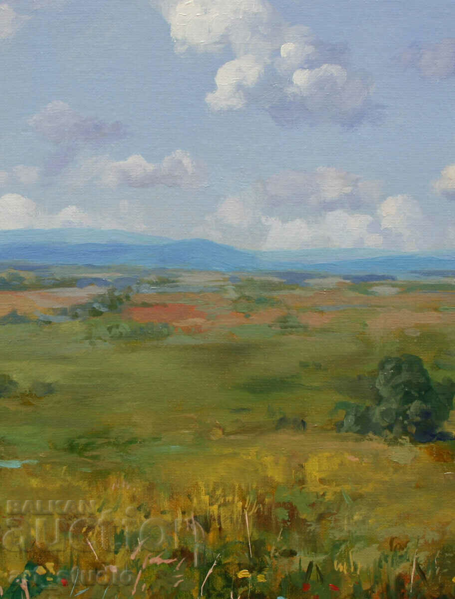 Полета  и  облаци -масл бои с цена € 92.03 | 180.00 лв.