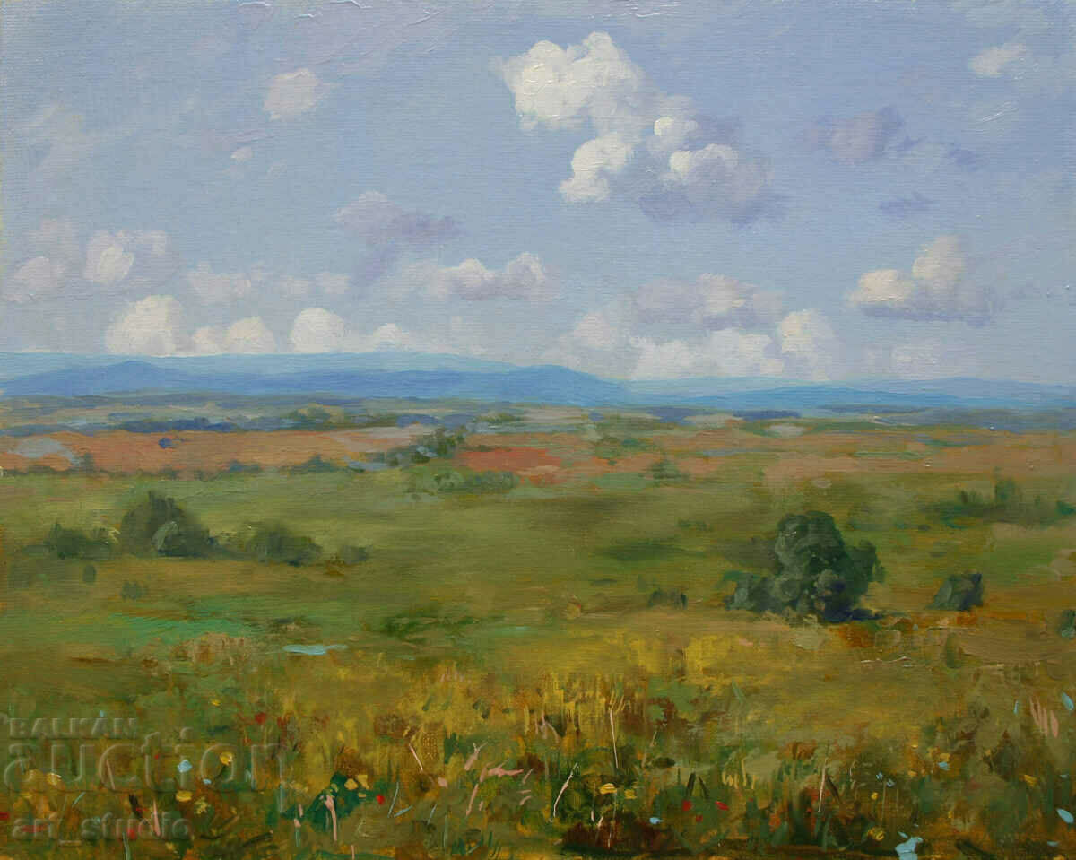 Fields and clouds - oil paints