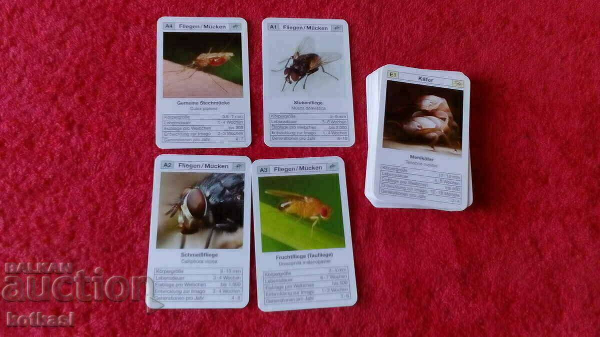 33 buc. joc de cunoștințe de cărți de insecte pentru copii și adulți