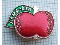 11274 Badge - Alma-Ata