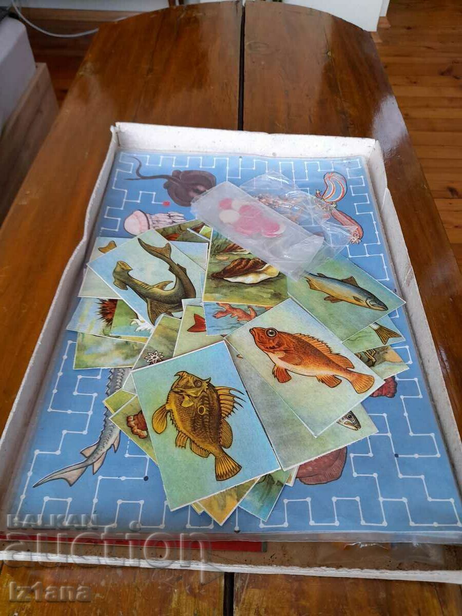 An old children's game In the Kingdom of Neptune with price 60.00 BGN | € 30.68 An old children's game In the Kingdom of Neptune with price 60.00 BGN | € 30.68