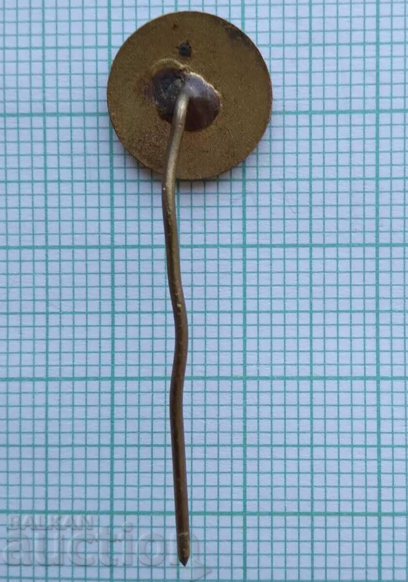 11292 Badge - company Elektroimpex - bronze enamel with price 1.50 BGN | € 0.77 11292 Badge - company Elektroimpex - bronze enamel with price 1.50 BGN | € 0.77