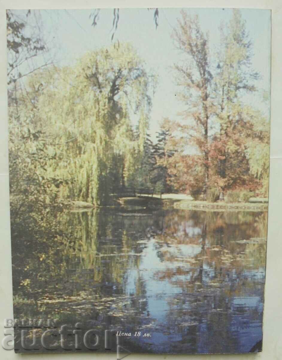 Park "Vrana" History and composition - Lidia Fomina 2003 - 6