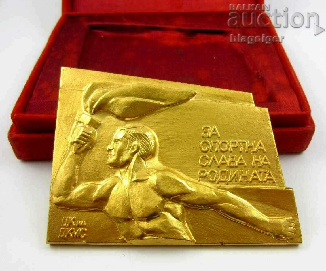 FOR THE SPORTING GLORY OF THE MOTHERLAND - Central Committee of the DKMS - AWARD - PLAQUET
