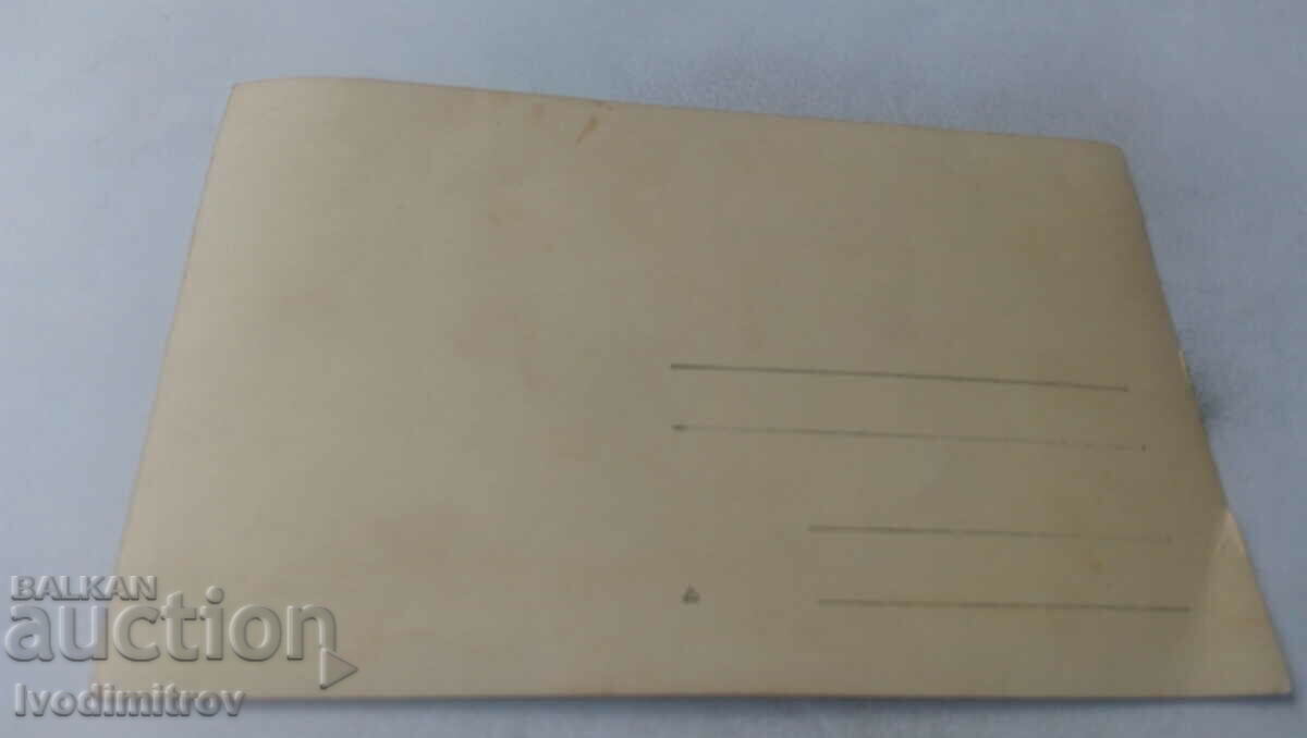 Photo Men, women and children on an excursion in the mountains with price 1.75 BGN | € 0.89 Photo Men, women and children on an excursion in the mountains with price 1.75 BGN | € 0.89