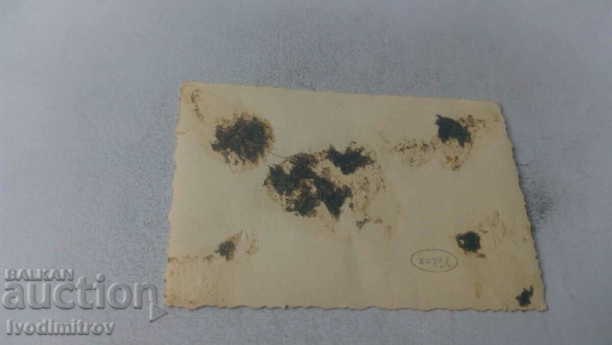 Εικόνα Πέντε νεαρά κορίτσια στο δρόμο με τιμή 1.65 BGN | € 0.84 Εικόνα Πέντε νεαρά κορίτσια στο δρόμο με τιμή 1.65 BGN | € 0.84